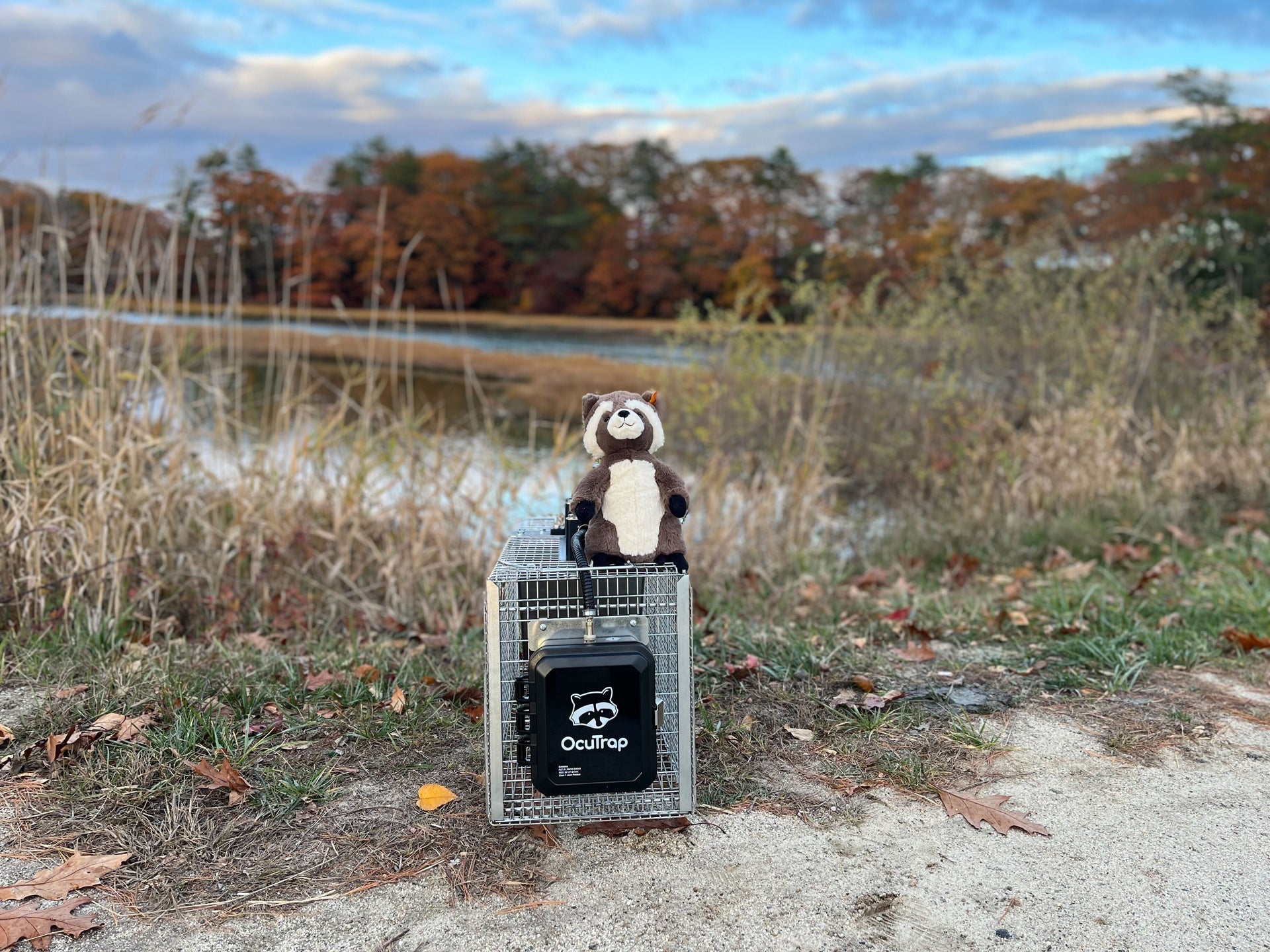 Cut wildlife site visits by up to 70% with           smart remote controlled traps.