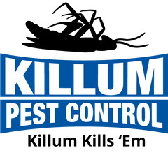 Killum Pest & Termite