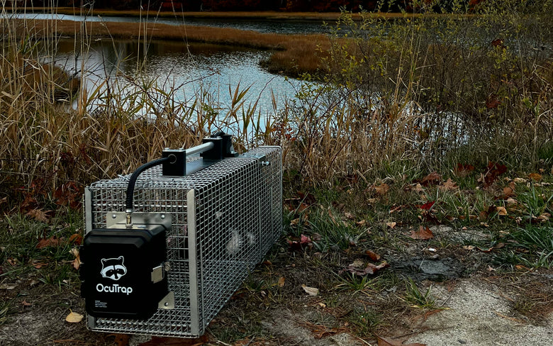 OcuTrap R1 deployed at a marsh at dusk, wide hero crop