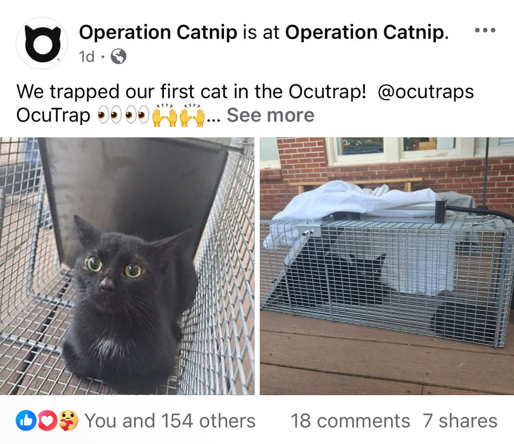 Operation Catnip Facebook post: We trapped our first cat in the OcuTrap, with two photos of a black cat inside an OcuTrap R1