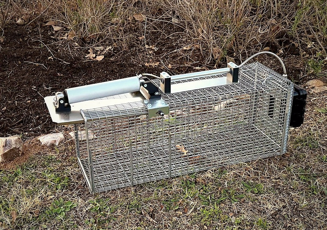 OcuTrap R1 trap set on the ground beside a mulch bed and brush line