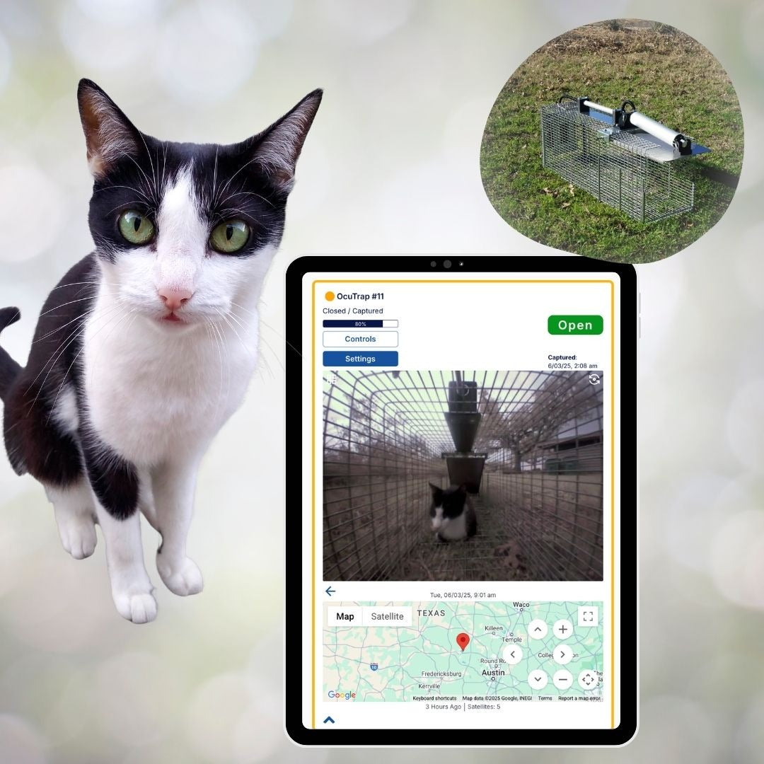 Cat beside a tablet showing an OcuTrap capture alert with a cat safely inside the trap