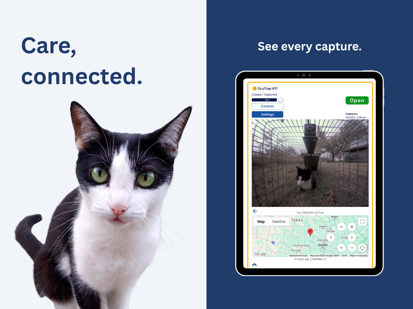 Care, connected. A cat beside the OcuTrap capture screen showing its photo and trap location. See every capture.